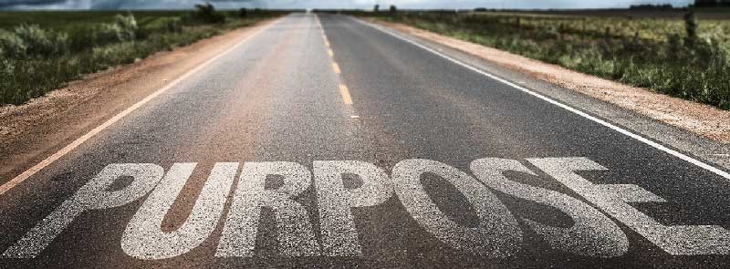 Road to Purpose